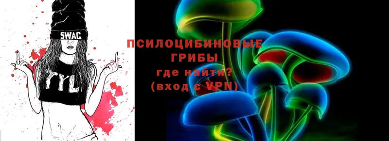 blacksprut маркетплейс  Истра  Галлюциногенные грибы Psilocybine cubensis 